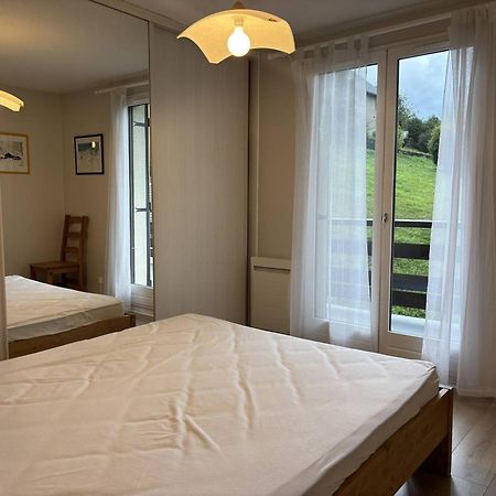 Appartement Cosy, Balcon Sud, 2 Chambres, Parking Gratuit A 10 Min Du Centre Et Proche Ski ! - Fr-1-548-4 Villard-de-Lans Buitenkant foto